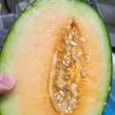 연우네 농장 이미지