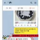 베스트유제이 이미지