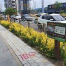 대전은어송초교 이미지