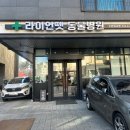 라이언펫 수원광교동물병원 이미지