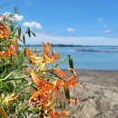 호서목장 이미지