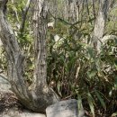 오소재약수터 이미지