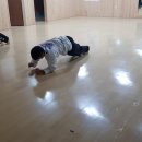 조례태권도장 이미지