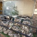 다미한식 | 오산 맛집 다미식 후기｜돌짜장과 동파육까지 완벽했던 중식·한식 맛집