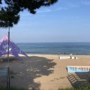 부흥해수욕장 네이버블로그