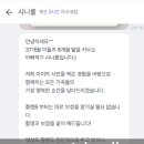 시니풀