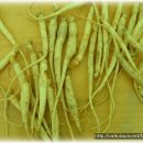 고려농장 이미지