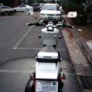 경남화이트 이미지