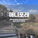 더강릉포레 이미지