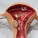 목동한의원 이미지