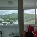 신일해피트리아파트 이미지