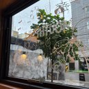 형제카세차장 | 여수 양식 맛집 '마우스풀다이닝' 데이트/기념일 무조건 성공! 내돈내산