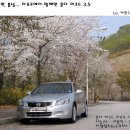 자유로카 이미지