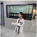 용인대 승리태권도장 이미지