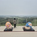 구도목장 | 서산한우목장 서산9경 힐링 여행지 서산 관광 일주일살아보기