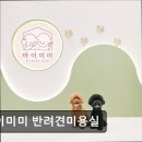 마이미미 반려견미용실 | (평택, 강아지, 고양이, 애견미용, 추천!) 마이미미 반려견미용실 평택 마이미미, 맞춤 케어로 인기