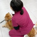 하나로동물병원 이미지