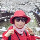 여좌천 이미지