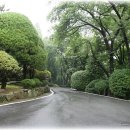 제주 이승만별장 이미지