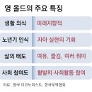 영 이미지