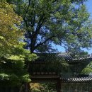 맑고 향기롭게 | 서울 성북동 삼각산 길상사 무소유 법정스님 맑고 향기롭게