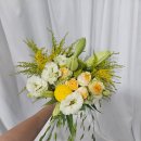 솔마