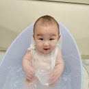 화인크리닝 | [육아용품] A등급 욕실세정제 베베린 사용 후기｜육아맘이 안심하고 쓰는 이유