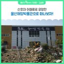 울산 해양박물관 이미지