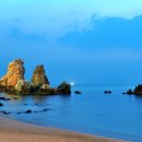 동해 추암 일출 그리고 태백 눈꽃 축제.... 이미지