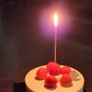아티지 | 아티제 등급별 혜택 생일축하쿠폰 아티지엔 승급 테디베어 키링