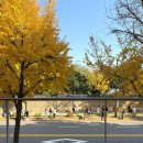 풍경하루 | 아름지기 전시 <장, 식탁으로 이어진 풍경> &amp; 온하루 약고추장 맛간장 후기