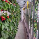 유비엔(주) 이미지