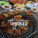 대영삼겹살 | 나만 알고 싶은 감삼동 노포 맛집, 대영아나고 고추장삼겹살 후기