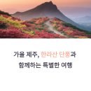 가을여행 이미지