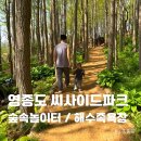 북한산유아숲체험장 화장실 | 영종도 씨사이드파크 아이와 숲속체험장 해수족욕장 좋아요