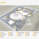 식물원 강아지 이미지