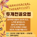 10월21일~22일 홀리스틱자연치유CST 교육안내 이미지