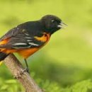 SK서인천충전소 이미지