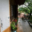 전통팥죽 이미지