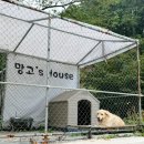 가을에 가기 좋은 숲뷰 부산 기장 카페 추천 유정1995