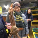 속초세꼬시 이미지