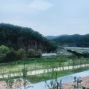 조아부동산중개 이미지