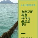 제철 바다의 불로초 '톳'의 효능 이미지