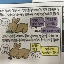 장속농장 이미지
