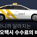 카카오 독과점 국정감사 !!! 이미지