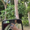 수비치캐슬 | 블루스타캐슬킹 보홀 스쿠버다이빙샵 숙소 위치 돌조비치 앞바다 다이빙