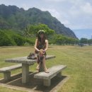 재임농장 이미지