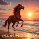 한밤의 사진편지 제 3101호('26/1/15/목) 이미지