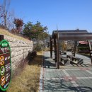 음성읍 명품가로숲길 이미지