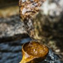 부여군 고란약수 이미지